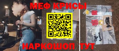 стафф Гай