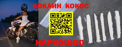 стафф Гатчина