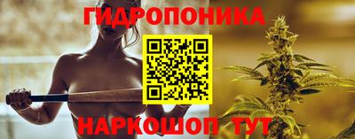 стафф Гатчина
