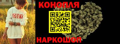 стафф Гай