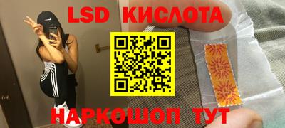 стафф Гай
