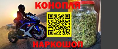 стафф Гай