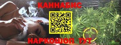 стафф Гай