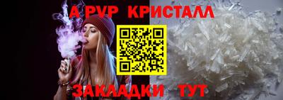 стафф Гай
