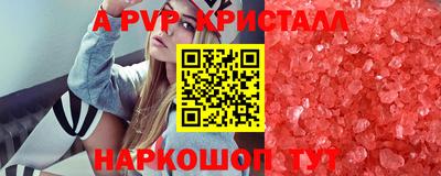 стафф Гатчина