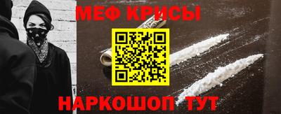 стафф Гатчина