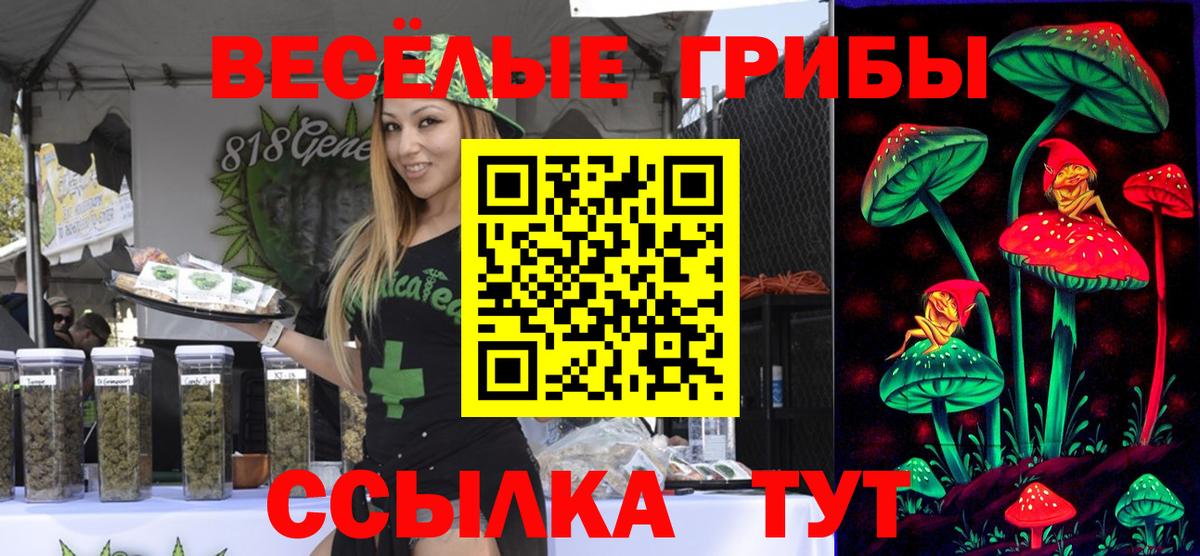Вязьма  что такое   Вход с VPN  Псилоцибиновые грибы MAGIC MUSHROOMS 